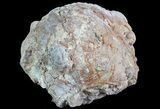 Bargain, 4.1" Crystal Filled Dugway Geode (Polished Half) - #67477-3